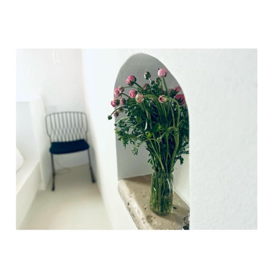 Hydria Guest House Art Gallery Acquaviva delle Fonti Buitenkant foto